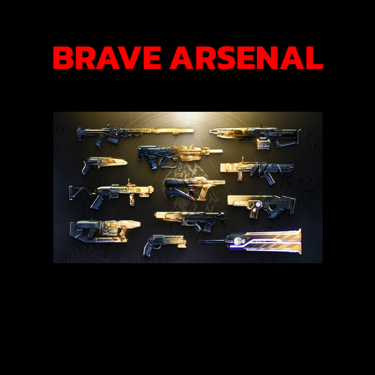 Destiny 2 - Others - Brave Arsenal